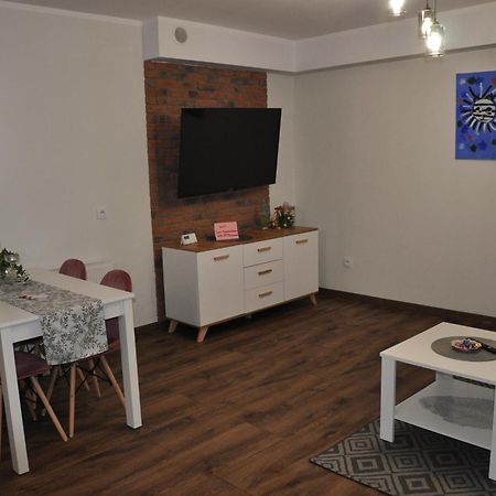 Malinowka Izerska II Apartment Swieradow-Zdroj Luaran gambar